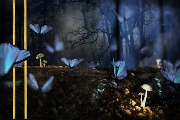 Butterfly Forest Glass